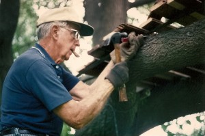 dbf-1009-08-treehouse-mi3 D.B. Falconer building a treehouse for his grandchildren