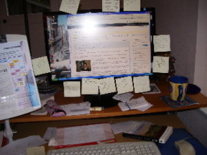 I found it. Photos c 2010 B.F. Newhall
