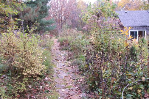 Autumn in the garden where, like it or not, the seasons impose their wills on every living thing. Photo by Barbara Newhall