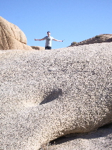 Peter victorious. Joshua Tree National Monument. c 2009 B.F. Newhall