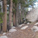 Al Aistrope at Tuolumne Meadows. Photo 2011 by Barbara Falconer Newhall