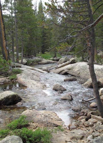 River rushes over granite rocks in Tuolumne High Country at Yosemite National Park. Photo by BF Newhall