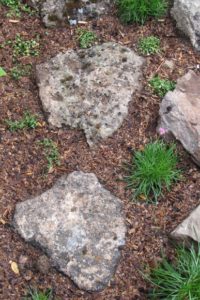 Lava rocks laid in ground for steppingstone garden path. Photo by BF Newhall
