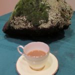 teacup with a rock on a table. Photo by BF Newhall