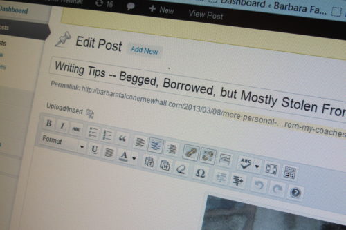 A WordPress blog post edit page. Photo by BF Newhall