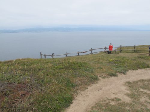 A hiker in red shirt rests on bench overlooking Drake's Bay at Chimney Rock, Point Reyes, CA. Photo by BF Newhall