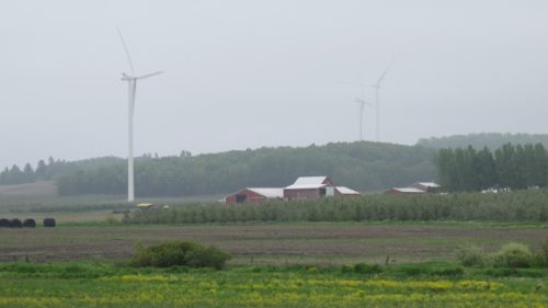 Windmills near red barns in the Lake Winds project, Mason County, Michigan. Photo by BF Newhall