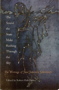 Cover of the book "The Sound the Stars Make Rushing Through the Sky" is dark bluke with stars in shape of a woman. 