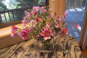 Japanese anemones and asters arranged in a glass vase on a granite counter. Photo by BF Newhall