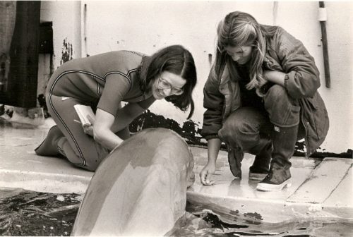 Marine World foto, Newspaper reporter Barbara Falconer Newhall in wet suit and Marine World trainer Deirdre Ballou in boots and rain coat with bottle-nosed dolphin Spock at edge of tank in 1979. Marine World photo.