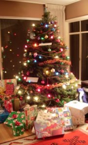 A live Christmas tree with lights, garlands and presents stacked underneath. Photo by BF Newhall