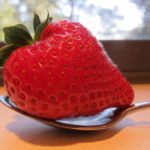 An oversized red strawberry is bigger than the bowl of the spoon it rests on. Photo by BF Newhall