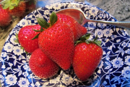 Five red, seemingly juicy, strawberries rest on a blue and whtie plate. Photo by BF Newhall