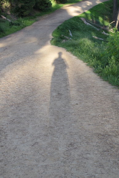 Writer and photographer Barbara Falconer Newhall casts a long shadow on the trail during a walk in a California woods. Photo by BF Newhall