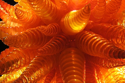 Glass chandelier by Dale Chihuly with orange conical shapes, at Chihuly Garden and Glass in Seattle.. Photo by Barbara Newhall