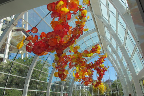 The Chihuly Glasshouse and Glasshouse Sculpture -- yellow and orange glass shapes float overhead in a glasshouse designed by Dale Chihuly, fulfilling his lifelong dream. Photo by Barbara Newhall