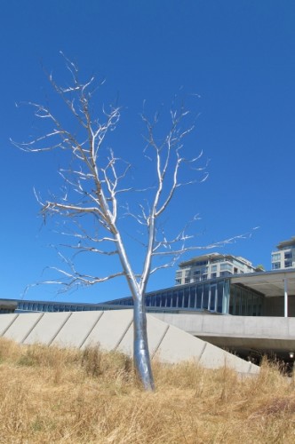 silver tree sculpture, "Split," by Roxy Paine, 2003. Stainless steel, from the artist's attempts to create artificial landscapes. At Seattle's Olympic Sculpture Park. Photo by Barbara Newhall