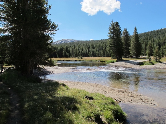 River running through Tuolumne Meadows, Yosemite, in September. Photo by Barbara Newhall