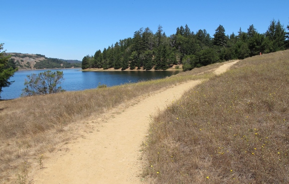 A trail alongside Bon Tempe Lake in Marin county, California. Photo by Barbara Newhall
