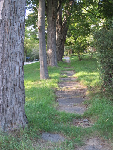 Sidewalk and trees in Pentwater, Michigan. Photo by Barbara Newhall
