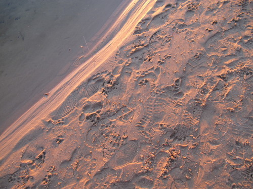 Footprints in the clean white sand on Lake Michigan's eastern shore. Photo by Barbara Newhall. Barbara Falconer Newhall travels up and down Michigan's lower peninsula, visiting friends and family and putting on book events for "Wrestling with God."