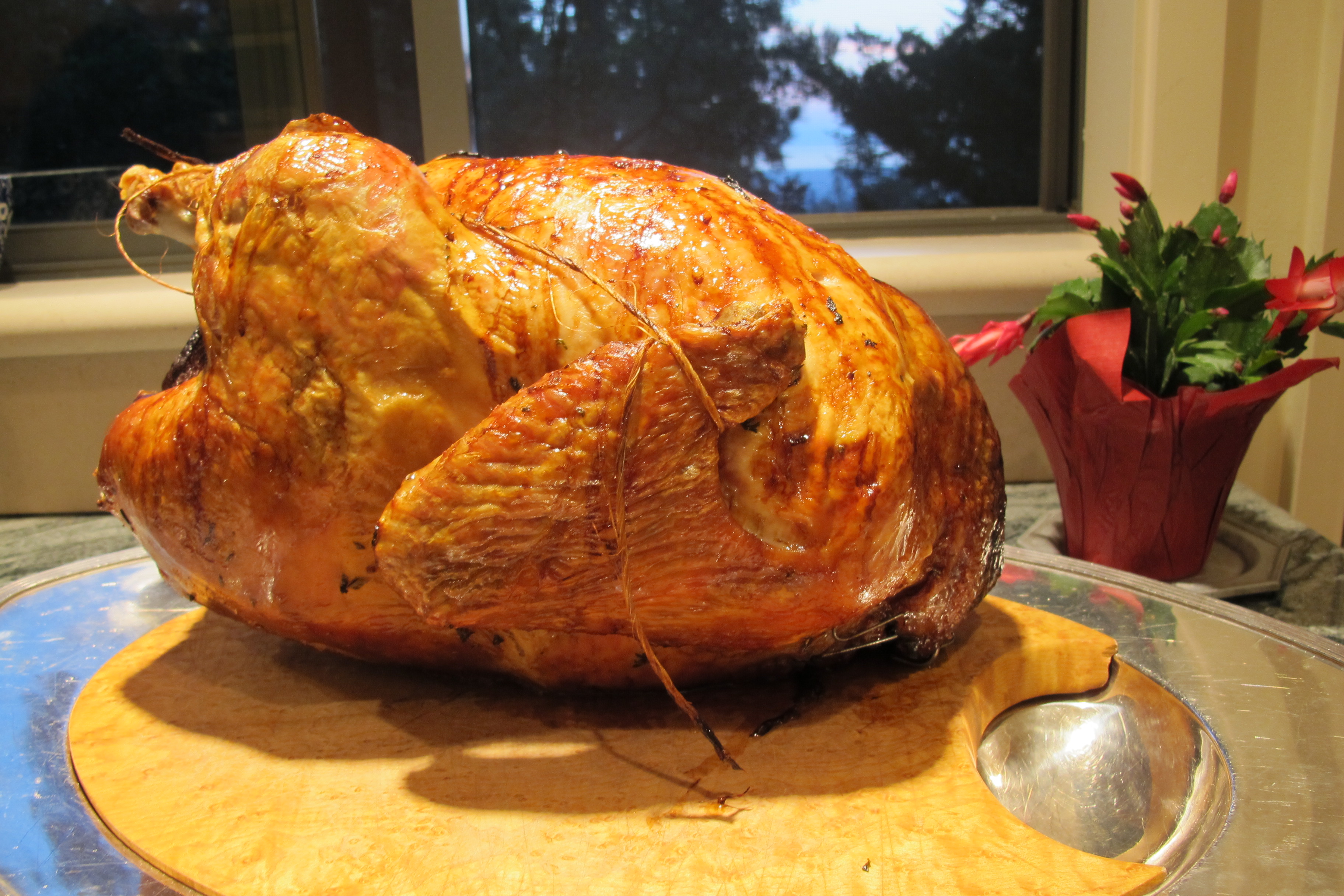 A Thanksgiving turkey, roasted brown and ready to carve. Photo by Barbara Newhall