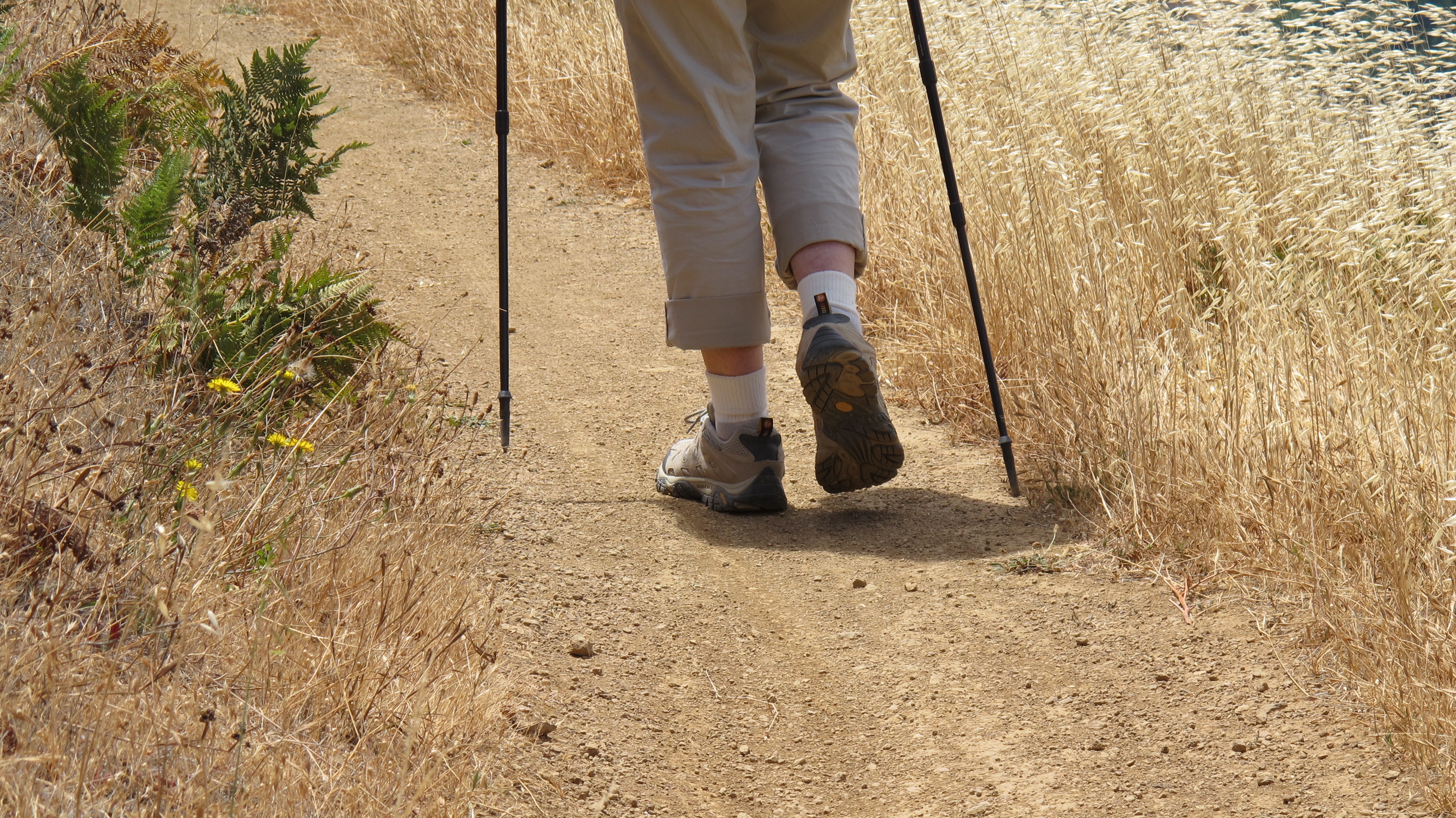 Tending a friendship on the trail. Photo by Barbara Newhall