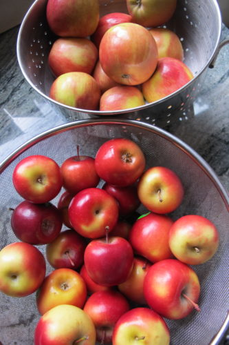 stay out of supermarkets -- but that led to too-many-apples