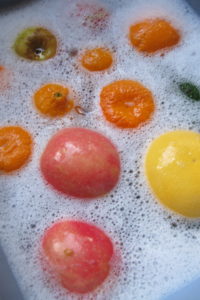 wash-fruit-twenty-seconds