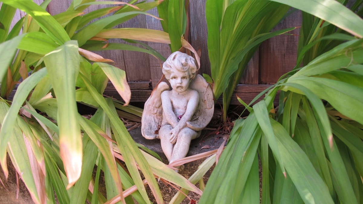 angel-garden-statuary overlooking my back yard