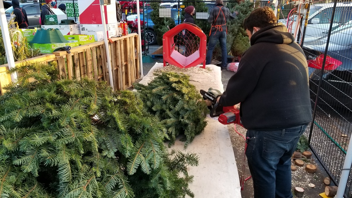 How to Wrestle a Christmas Tree Into Its Stand start at the christmas-tree-lot