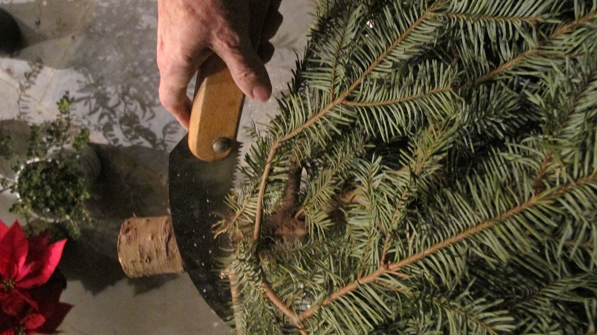 How to Wrestle a Christmas Tree Into Its Stand. be prepared to trim the-Christmas-tree-branches