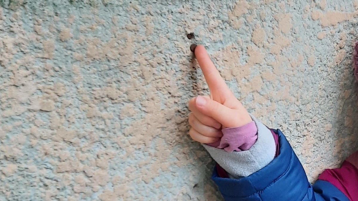  little girl points out her grandfather's special nail-in-a-wall