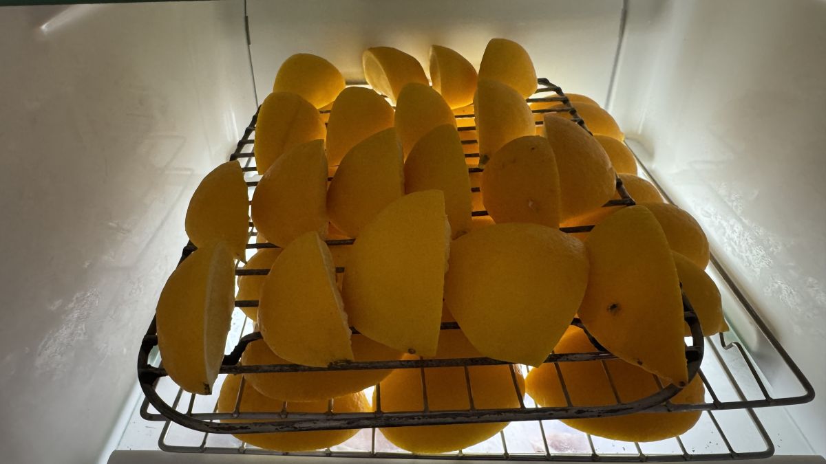 older-but-wiser-or-when-life-gives-you-lemons-freeze-them