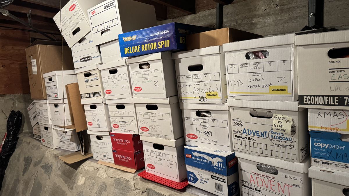 a-woman-cant--be-too-rich-too-thin-or-have-too-many-toys-stored-in-her-basement