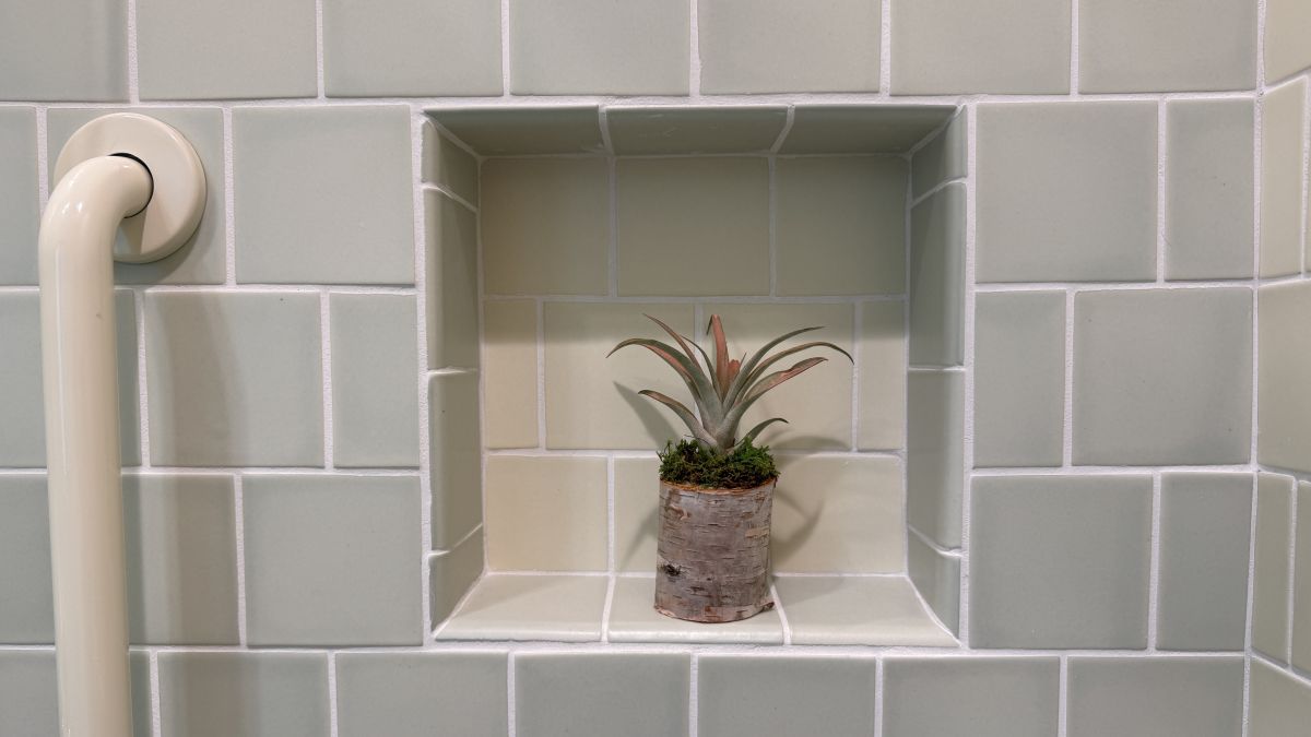 It's True. My New Bathroom Is Beautiful pratt-and-larsen-tile-niche