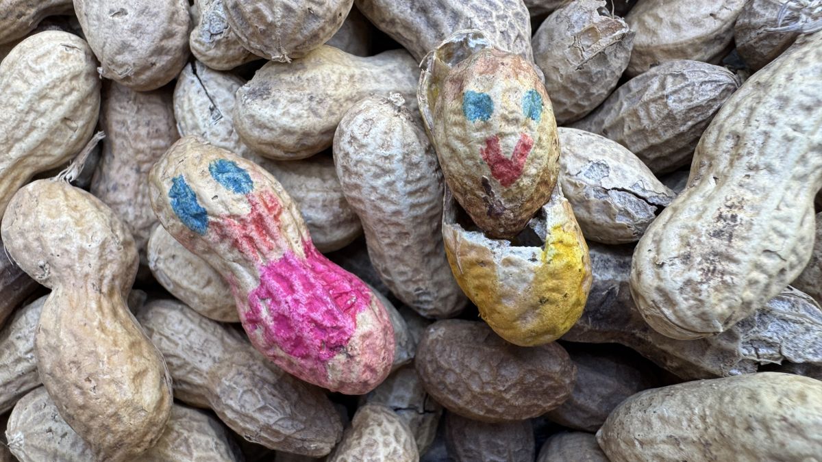 they-played-with-peanut-shells/ people-made-of-peanut-shells